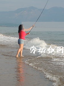 劳动合同法实施的条例 劳动合同法实施的条例