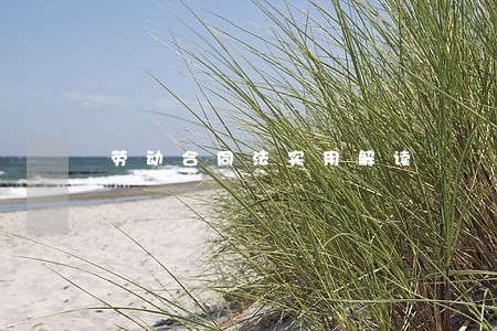 劳动合同法实用解读 劳动合同法实用解读