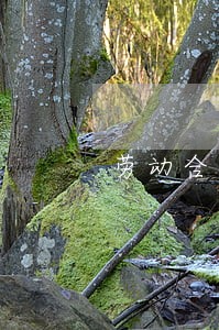劳动合同法对公司的帮助 劳动合同法对公司的帮助
