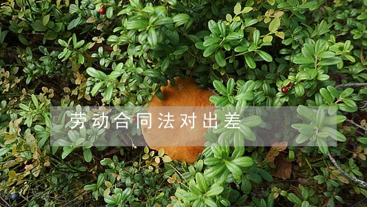劳动合同法对出差