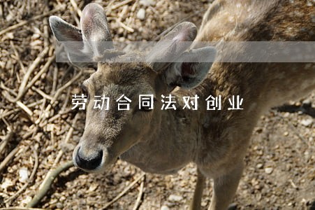 劳动合同法对创业 劳动合同法对创业