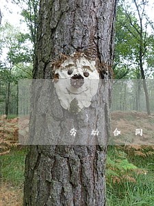 劳动合同法对员工名册