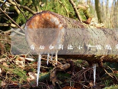 劳动合同法小产假规定 劳动合同法小产假规定