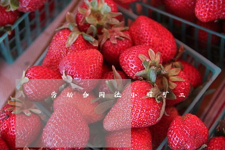 劳动合同法小时旷工