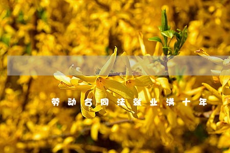 劳动合同法就业满十年