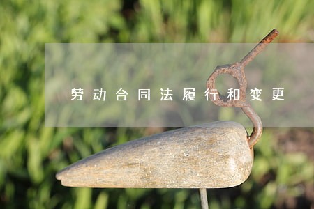 劳动合同法履行和变更 劳动合同法履行和变更