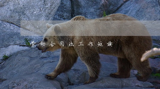 劳动合同法工作延续 劳动合同法工作延续