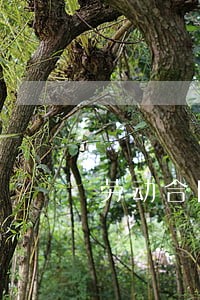 劳动合同法工作时间规定 劳动合同法工作时间规定