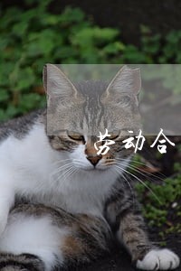 劳动合同法工龄时间 劳动合同法工龄时间
