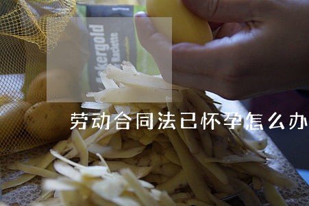 劳动合同法已怀孕怎么办 劳动合同法已怀孕怎么办