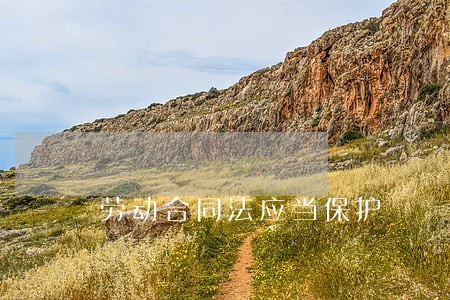 劳动合同法应当保护 劳动合同法应当保护