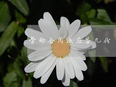 劳动合同法应签几份 劳动合同法应签几份