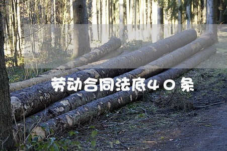 劳动合同法底40条 劳动合同法底40条