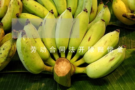 劳动合同法开除赔偿金 劳动合同法开除赔偿金