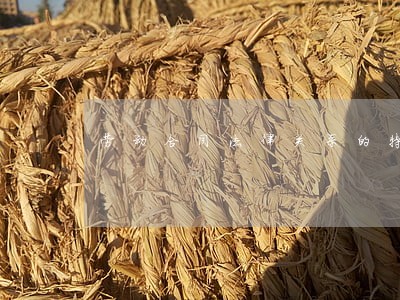 劳动合同法律关系的特征包括 劳动合同法律关系的特征包括