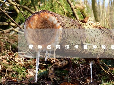 劳动合同法律咨询免费 劳动合同法律咨询免费
