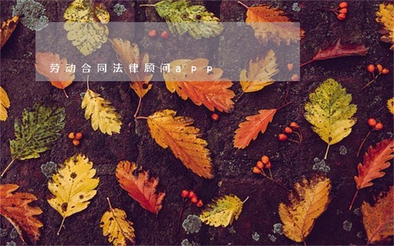 劳动合同法律顾问app 劳动合同法律顾问app