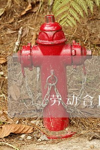 劳动合同法必须交 劳动合同法必须交
