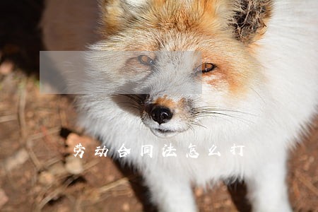劳动合同法怎么打 劳动合同法怎么打