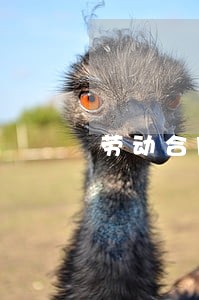 劳动合同法怎么装订 劳动合同法怎么装订