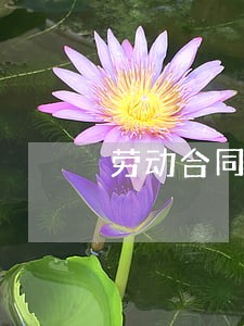 劳动合同法怎么解约 劳动合同法怎么解约