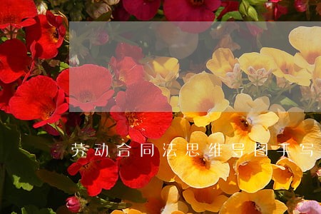 劳动合同法思维导图手写 劳动合同法思维导图手写