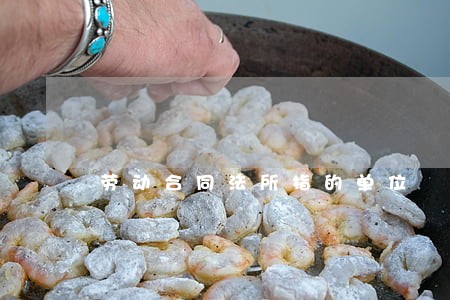 劳动合同法所指的单位 劳动合同法所指的单位