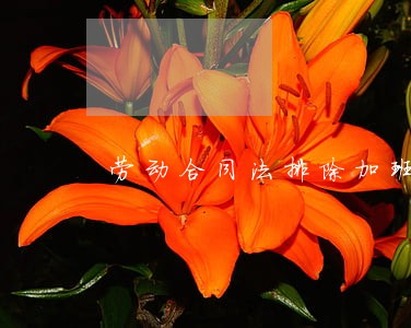 劳动合同法排除加班费 劳动合同法排除加班费