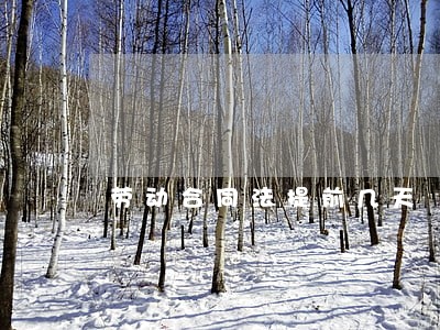 劳动合同法提前几天 劳动合同法提前几天