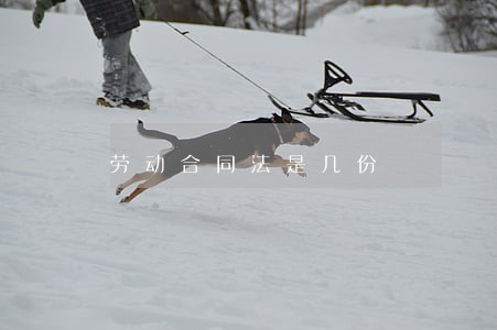 劳动合同法是几份 劳动合同法是几份