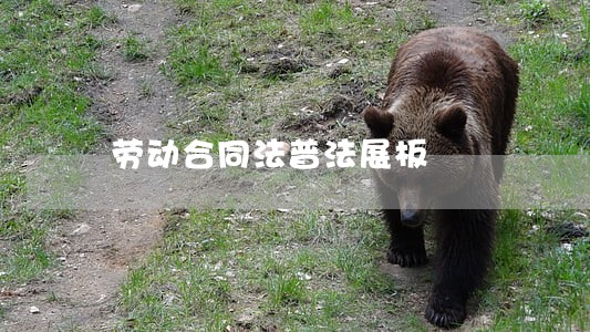 劳动合同法普法展板 劳动合同法普法展板