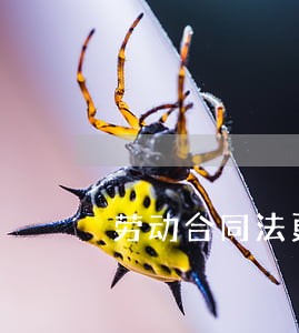 劳动合同法更新版本 劳动合同法更新版本