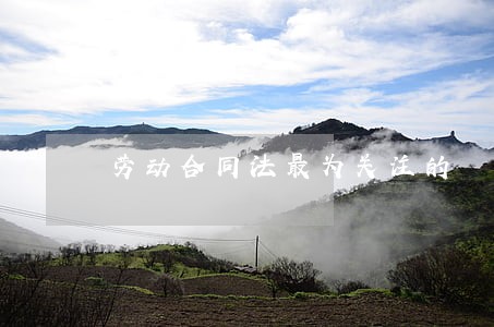劳动合同法最为关注的 劳动合同法最为关注的