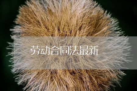 劳动合同法最新 劳动合同法最新