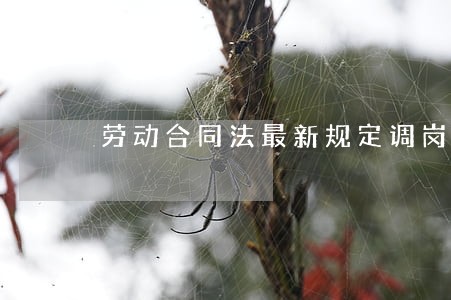 劳动合同法最新规定调岗 劳动合同法最新规定调岗
