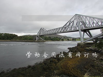 劳动合同法有修订吗 劳动合同法有修订吗