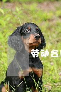 劳动合同法有关规定 劳动合同法有关规定