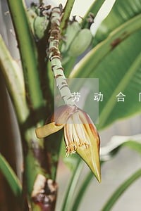 劳动合同法有哪些问题 劳动合同法有哪些问题