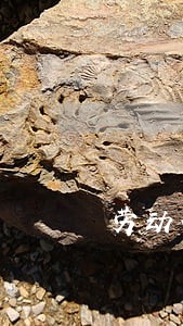 劳动合同法有啥新规定 劳动合同法有啥新规定