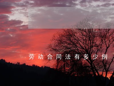 劳动合同法有多少例 劳动合同法有多少例