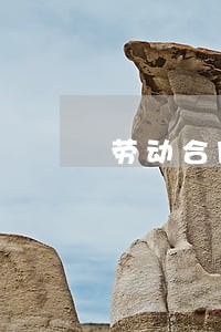 劳动合同法有多少种 劳动合同法有多少种