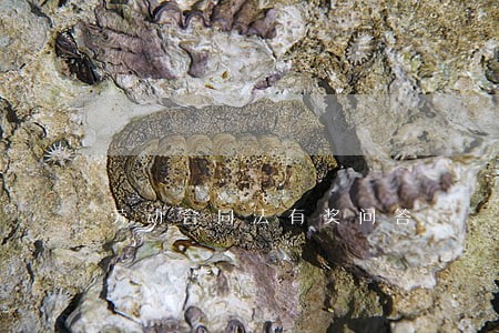 劳动合同法有奖问答 劳动合同法有奖问答