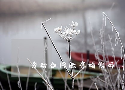 劳动合同法有婚假吗 劳动合同法有婚假吗