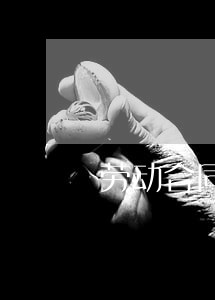 劳动合同法有婚假没 劳动合同法有婚假没