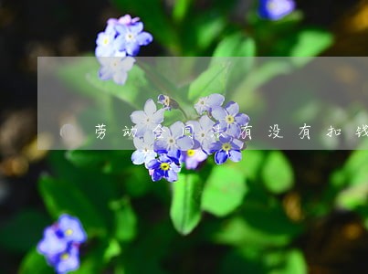 劳动合同法有没有扣钱 劳动合同法有没有扣钱