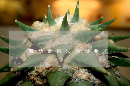 劳动合同法期限要求 劳动合同法期限要求