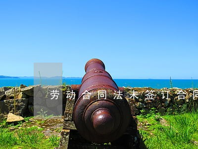 劳动合同法未签订合同