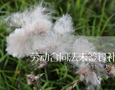 劳动合同法未签订补充 劳动合同法未签订补充