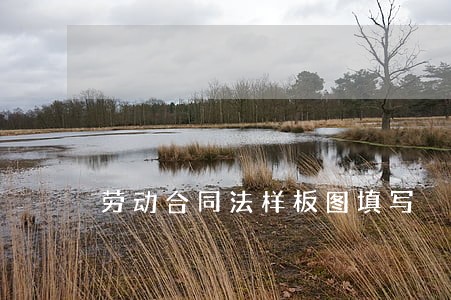 劳动合同法样板图填写 劳动合同法样板图填写