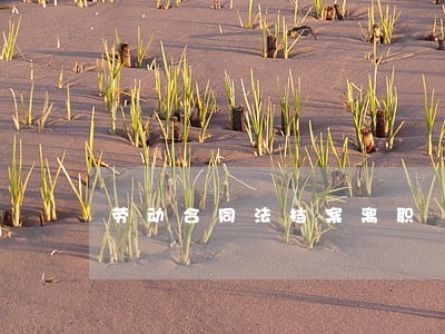 劳动合同法档案离职 劳动合同法档案离职